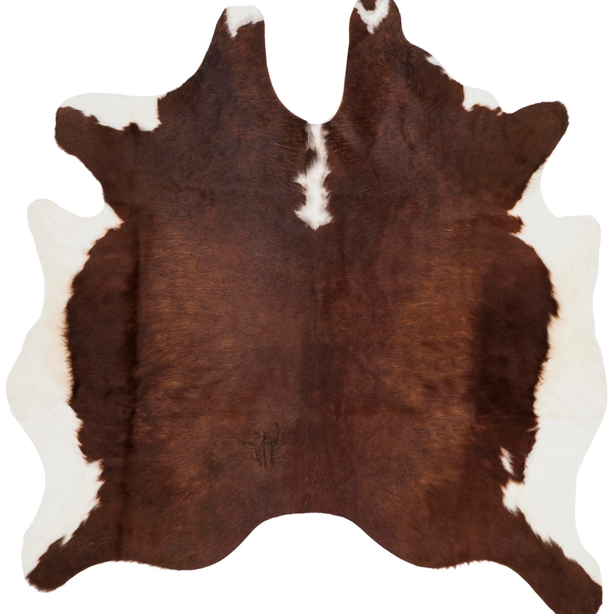COWHIDE RUG COLLECTION - COH211 - SAFAVIEH