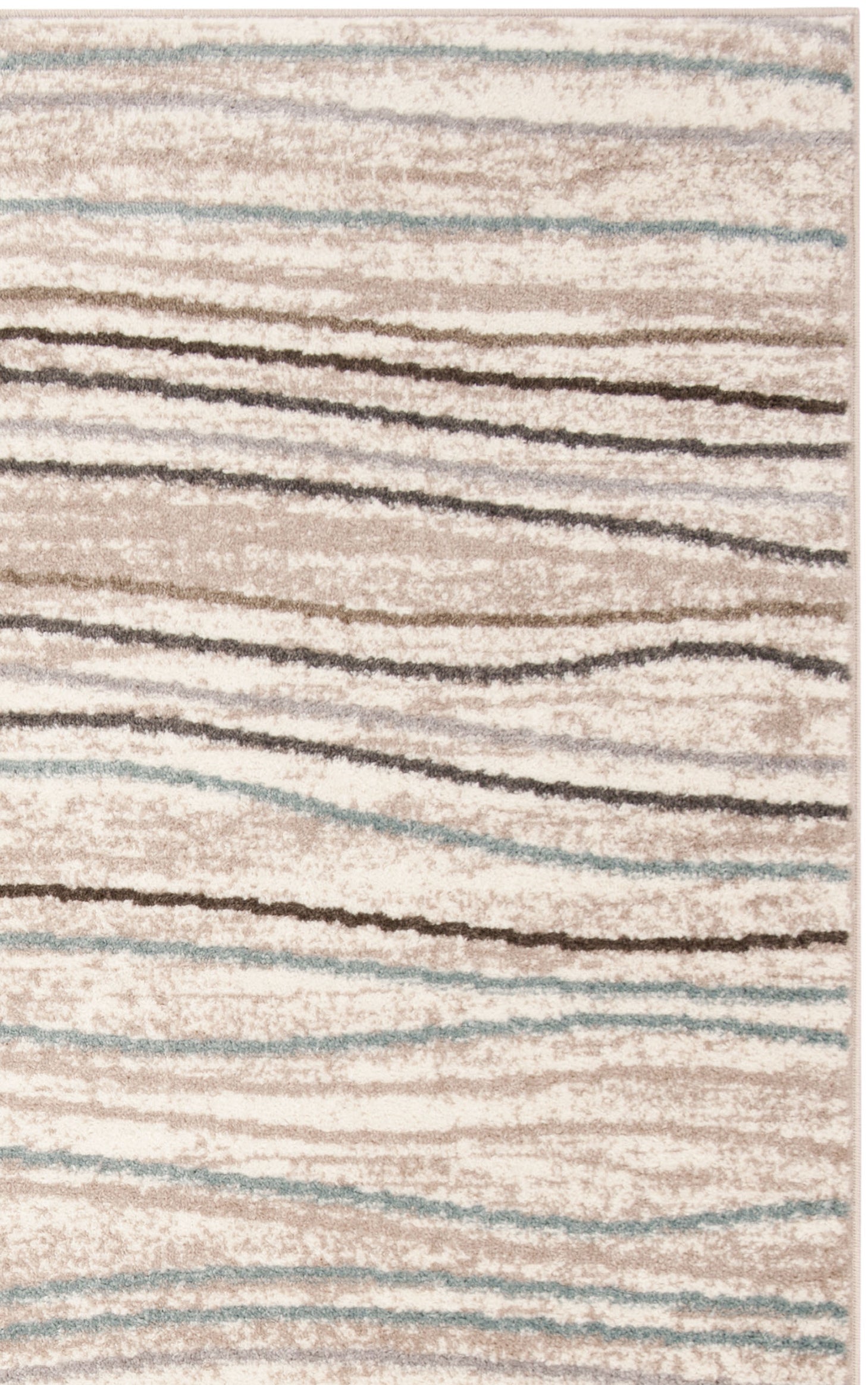 AMSTERDAM  RUG COLLECTION - AMS111 - SAFAVIEH