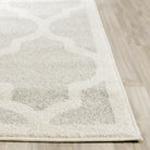 Amherst  Rug Collection - AMT417C - SAFAVIEH