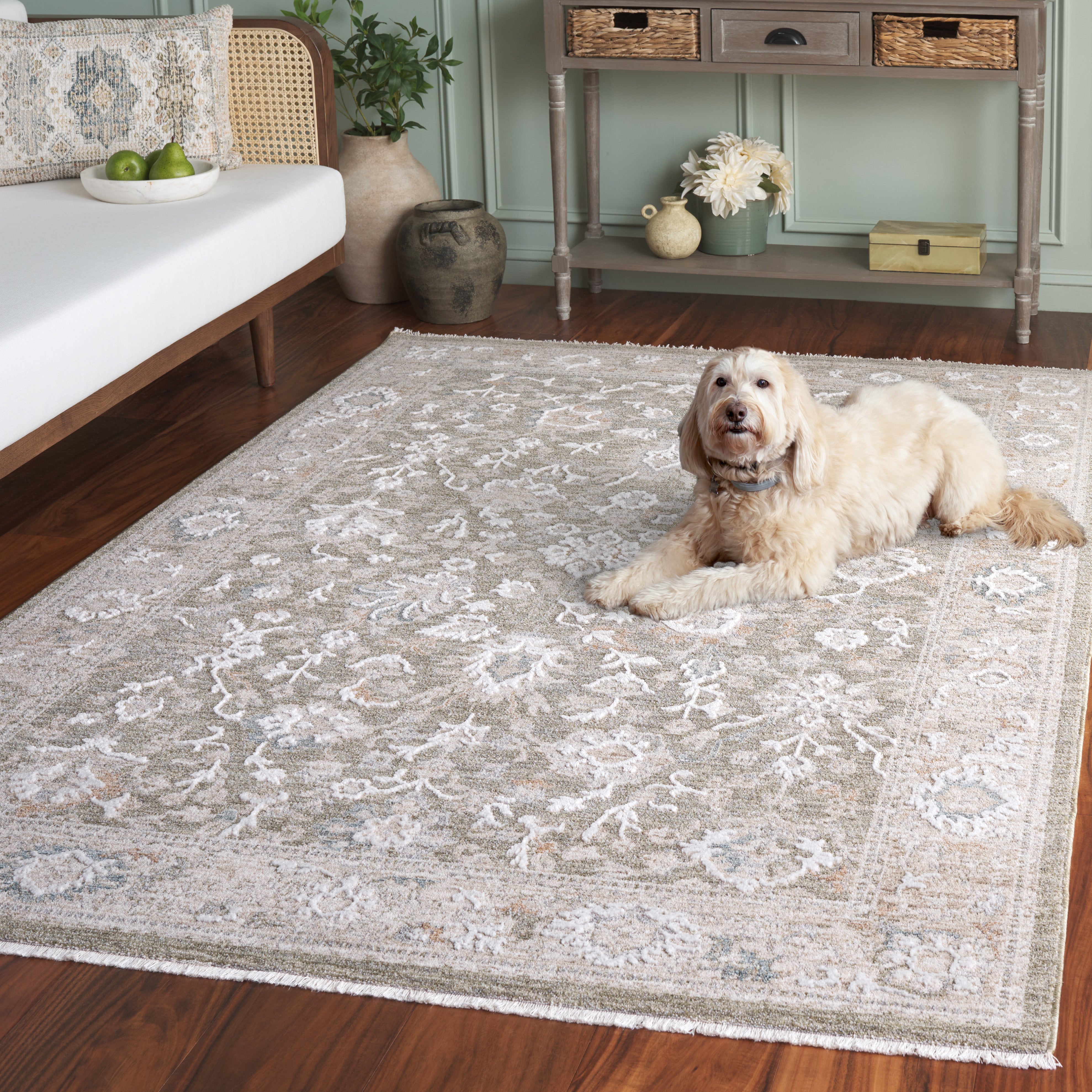 FINLEY RUG COLLECTION - FINC326 - SAFAVIEH