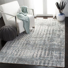 Winston  Rug Collection - WNT172C - SAFAVIEH