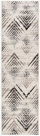 Amsterdam  Rug Collection - AMS110 - SAFAVIEH