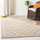 Amherst  Rug Collection - AMT422S - SAFAVIEH