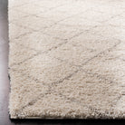 Arizona Shag  Rug Collection - ASG742A - SAFAVIEH