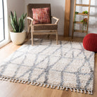 Berber Fringe Shag  Rug Collection - BFG605A - SAFAVIEH