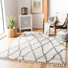 Berber Fringe Shag  Rug Collection - BFG628B - SAFAVIEH