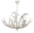 Birch Chandelier- CHA4003A - SAFAVIEH