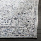 Charleston  Rug Collection - CHL411F - SAFAVIEH