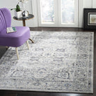 Charleston  Rug Collection - CHL411F - SAFAVIEH