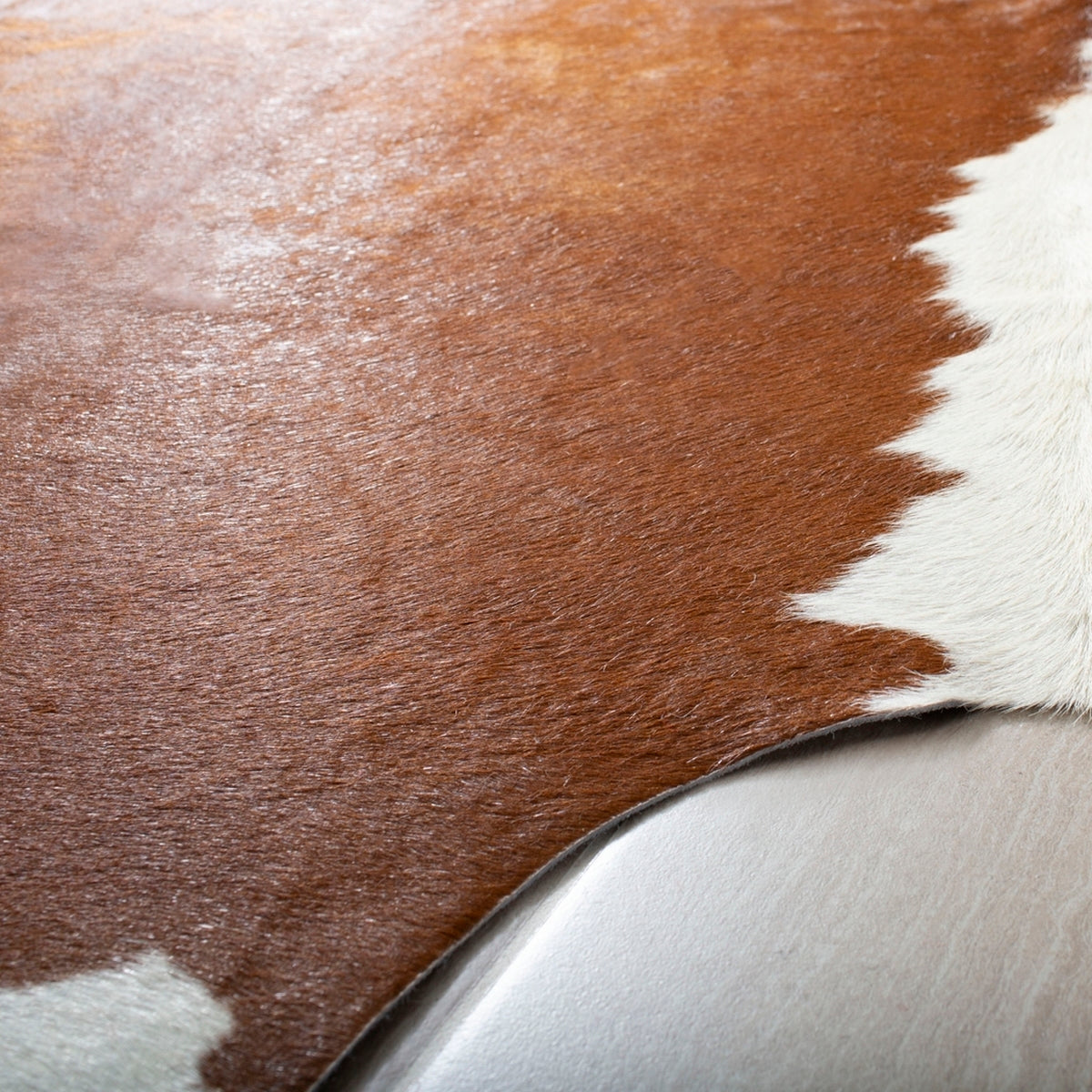 Cowhide  Rug Collection - COH211A - SAFAVIEH