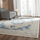 Evoke  Rug Collection - EVK220C - SAFAVIEH