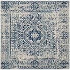Evoke  Rug Collection - EVK260 - SAFAVIEH