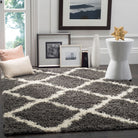 Sgd-Dallas Shag  Rug Collection - SGD257A - SAFAVIEH