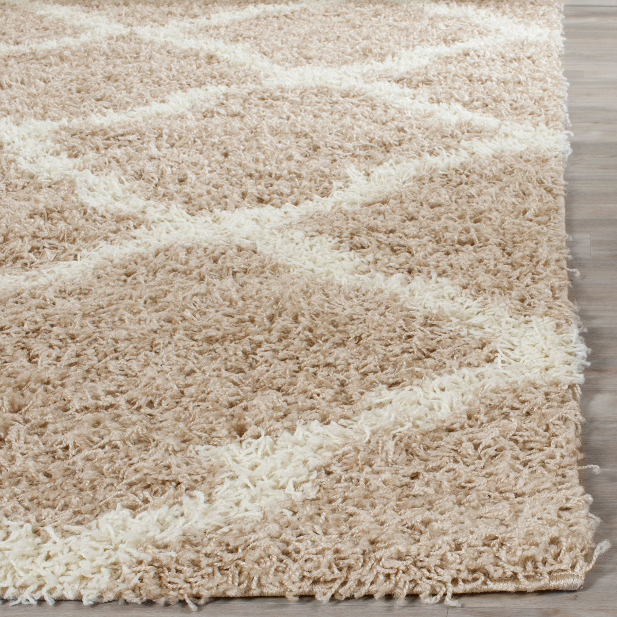 Sgd-Dallas Shag  Rug Collection - SGD257D - SAFAVIEH